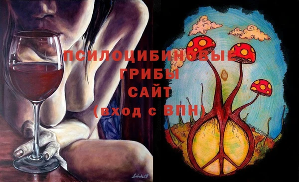 а пвп мука Богданович