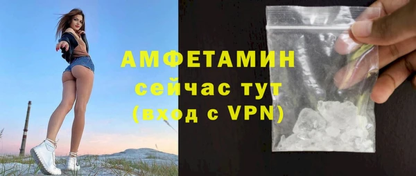 соль ск Богородицк