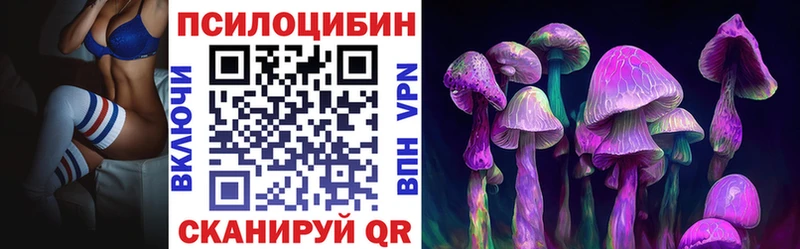 Галлюциногенные грибы Psilocybine cubensis  закладки  Спас-Деменск 