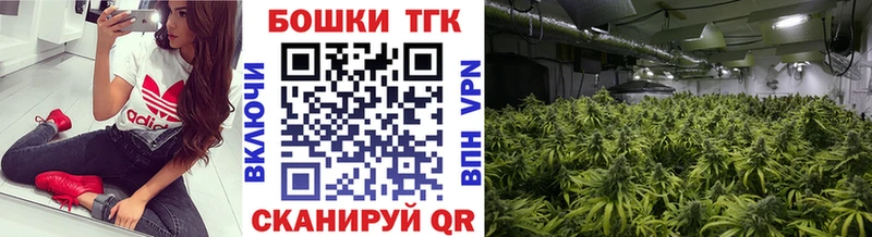 Канабис White Widow  где найти наркотики  Спас-Деменск 